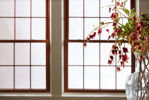 Double Hung Windows with Foxwood